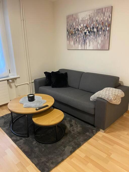 Gemuetliche Wohnung An Bester Lage Im Kreis 4 Цюрих Экстерьер фото